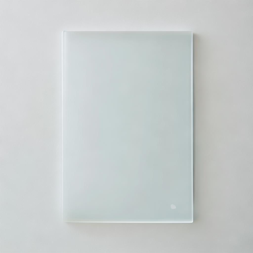 Silver Coated Glass Slide